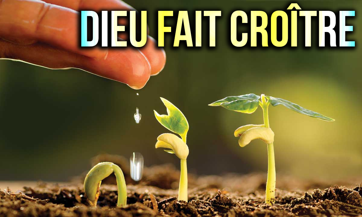 C'est Dieu qui fait croître  